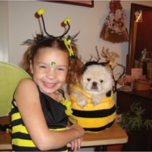 Meet your Posher, Destria